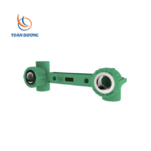 TÊ REN TRONG + CO REN TRONG 